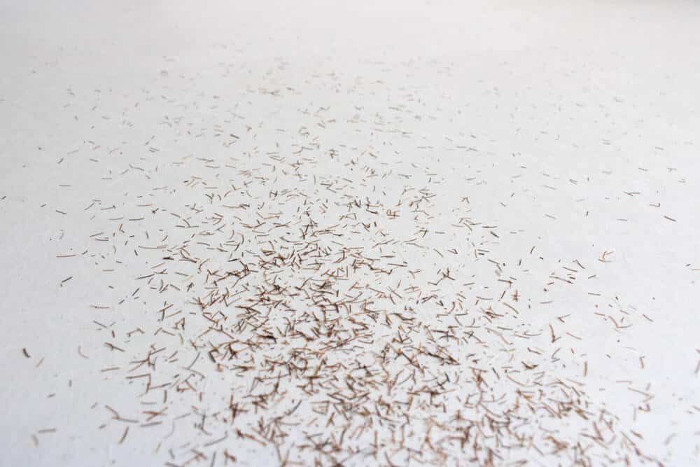 clippings all over white paper