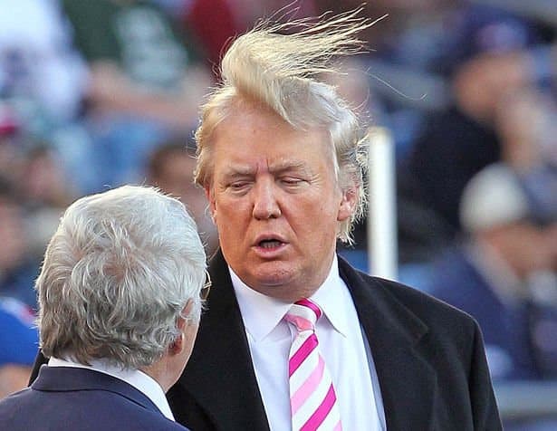 donald trump's hair