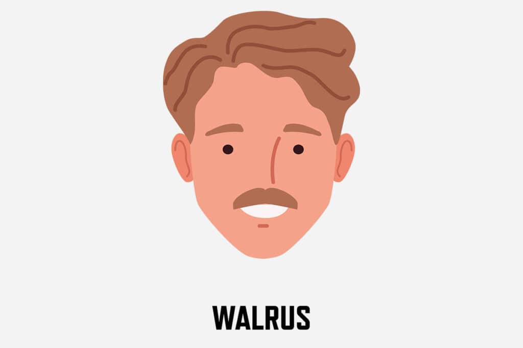 walrus mustache