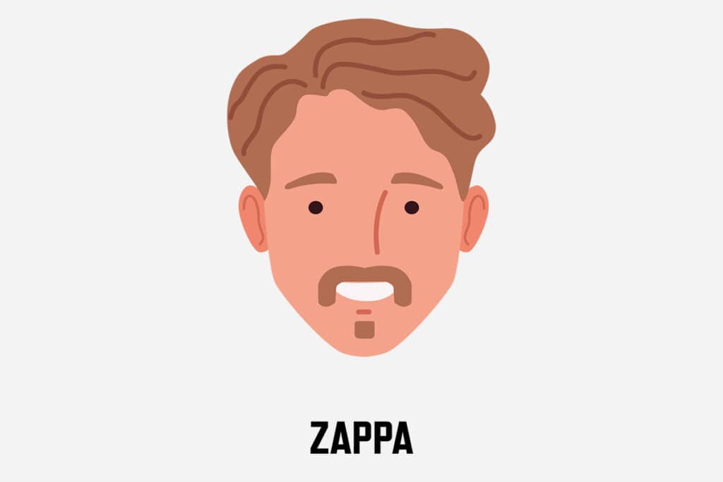 zappa mustache