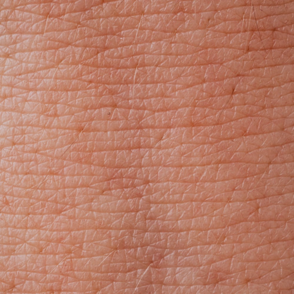 macro picture of skin