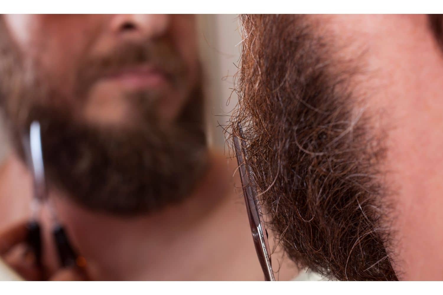 closeup of a man trimming beard with shears