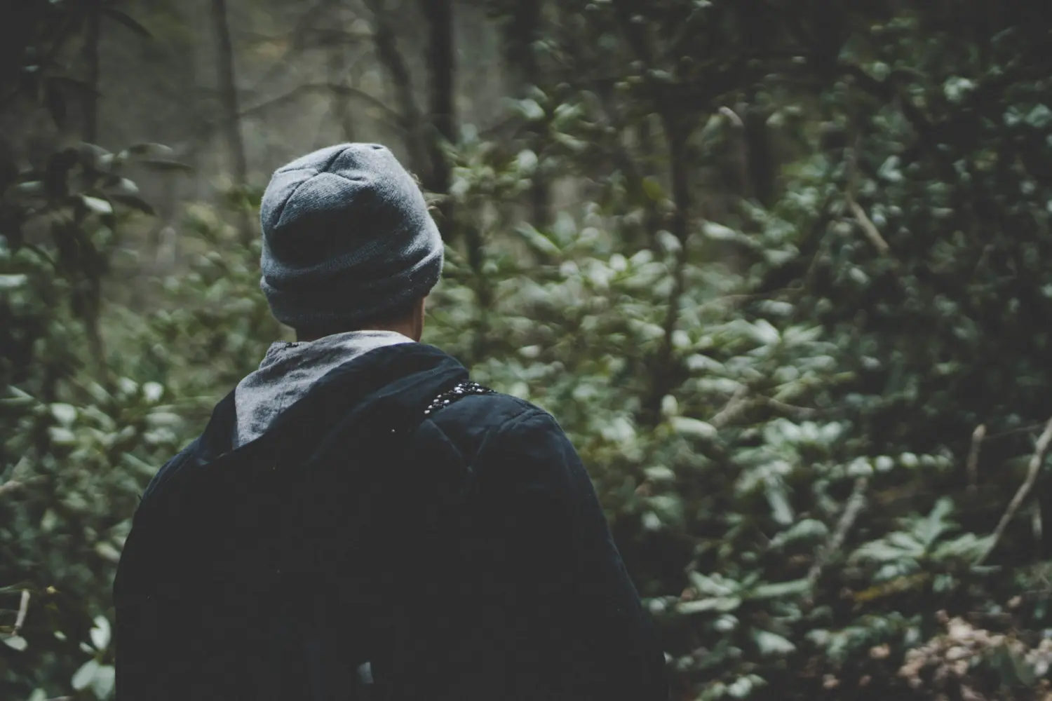 man hiking in woods