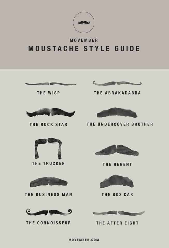 movember infographic with various mustache styles